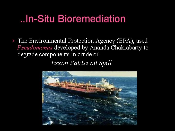 . . In-Situ Bioremediation › The Environmental Protection Agency (EPA), used Pseudomonas developed by