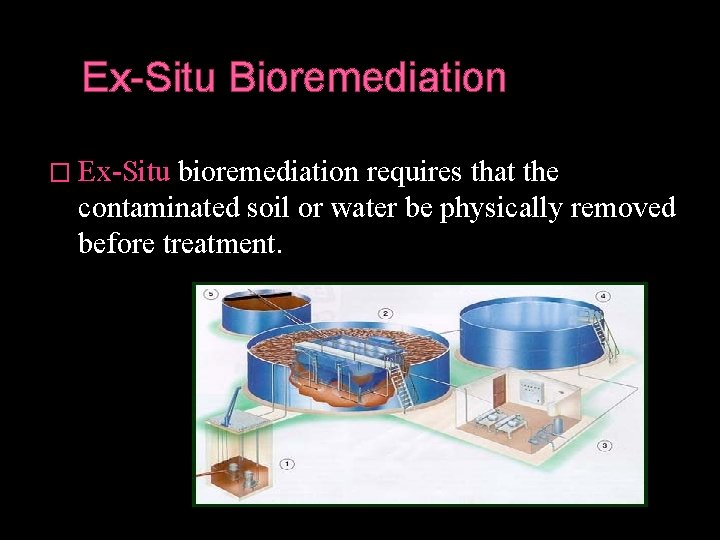 Ex-Situ Bioremediation � Ex-Situ bioremediation requires that the contaminated soil or water be physically