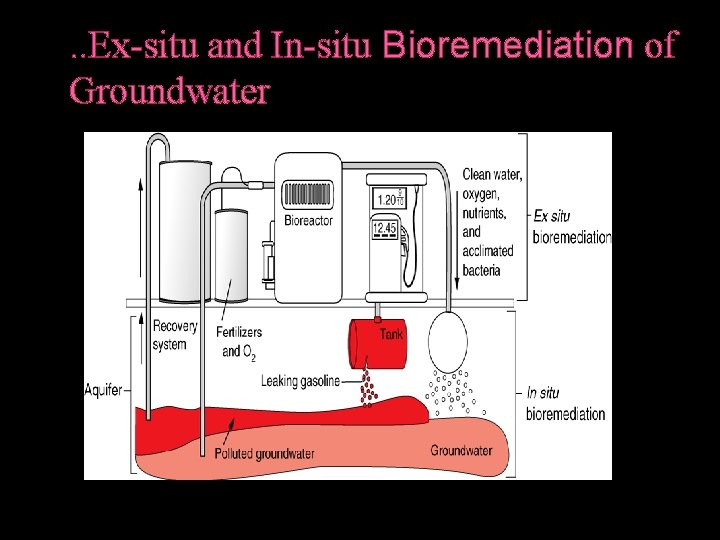 . . Ex-situ and In-situ Bioremediation of Groundwater 