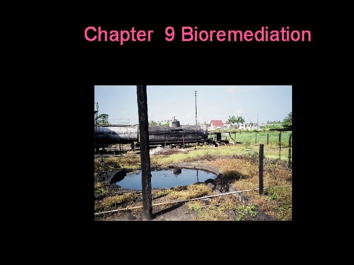 Chapter 9 Bioremediation 