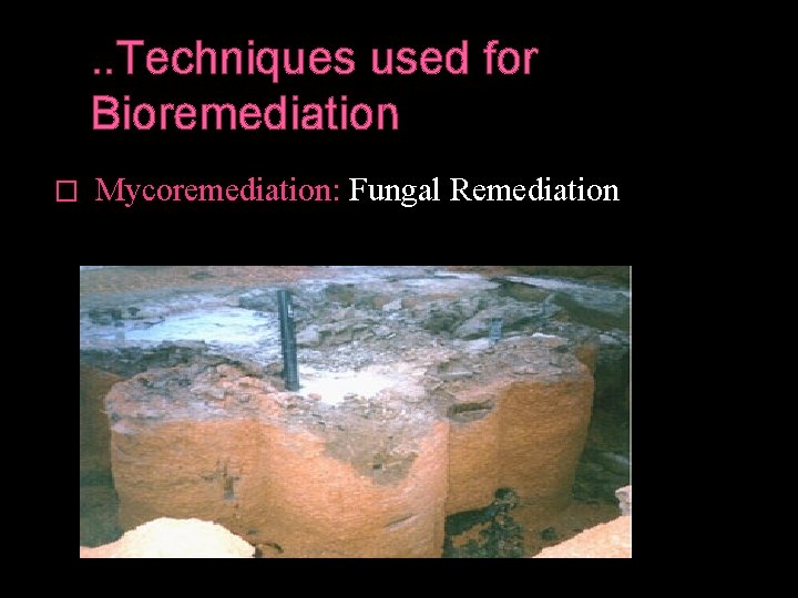 . . Techniques used for Bioremediation � Mycoremediation: Fungal Remediation 