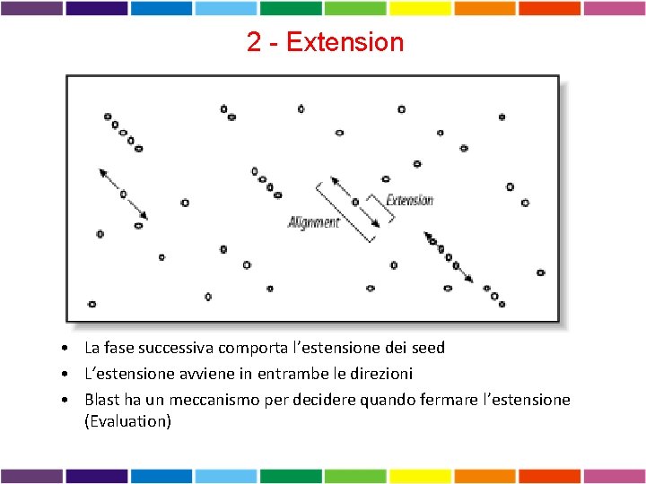 2 - Extension • La fase successiva comporta l’estensione dei seed • L‘estensione avviene