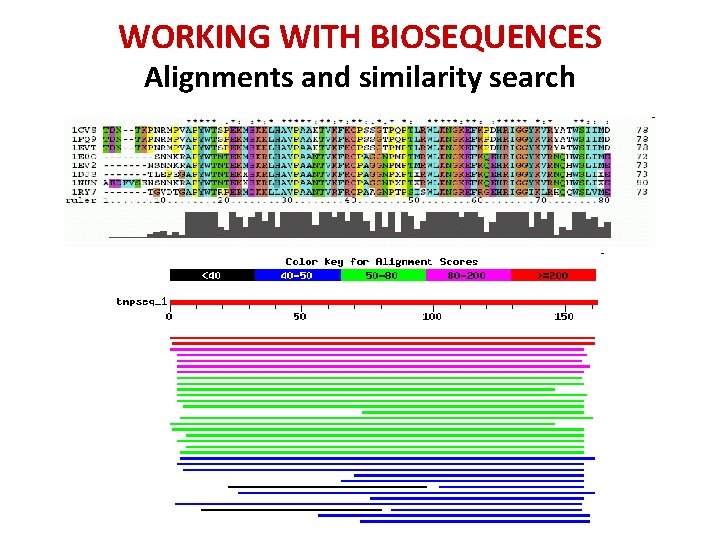 WORKING WITH BIOSEQUENCES Alignments and similarity search 
