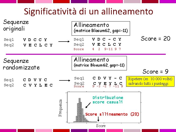 Significatività di un allineamento Sequenze originali Allineamento Seq 1 Seq 2 V D C