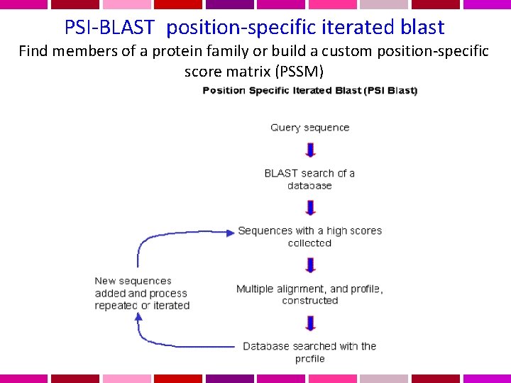 PSI-BLAST position-specific iterated blast Find members of a protein family or build a custom