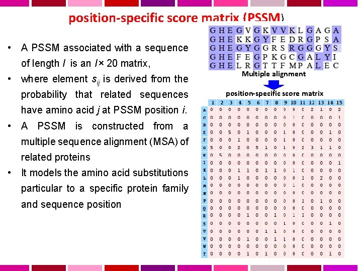 position-specific score matrix (PSSM) • A PSSM associated with a sequence of length l