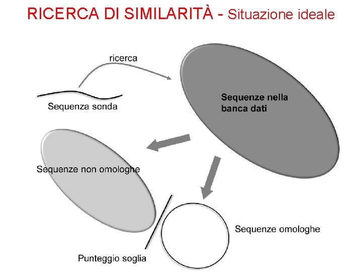 RICERCA DI SIMILARITÀ - Situazione ideale 