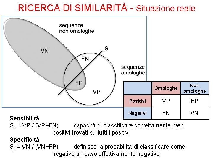 RICERCA DI SIMILARITÀ - Situazione reale Omologhe Non omologhe Positivi VP FP Negativi FN