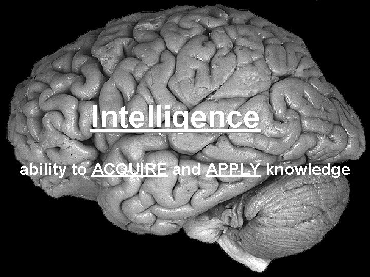 Intelligence ability to ACQUIRE and APPLY knowledge 