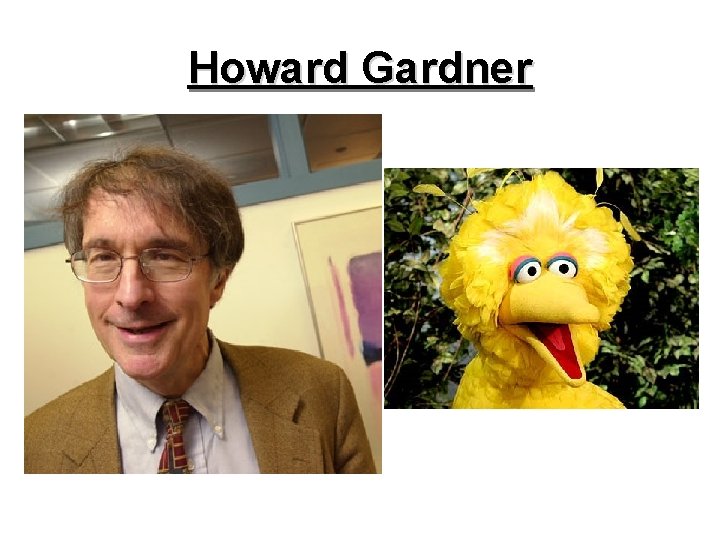 Howard Gardner 