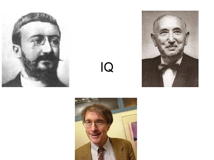 IQ 