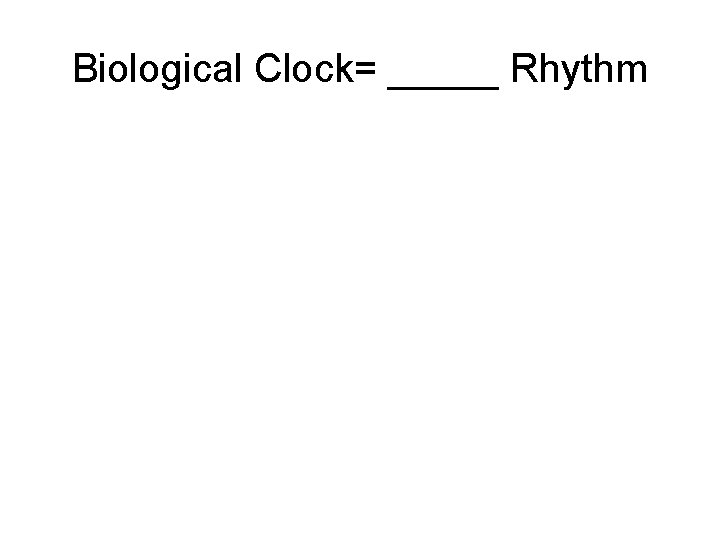 Biological Clock= _____ Rhythm 