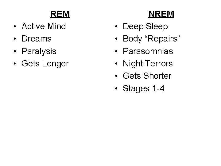  • • REM Active Mind Dreams Paralysis Gets Longer • • • NREM