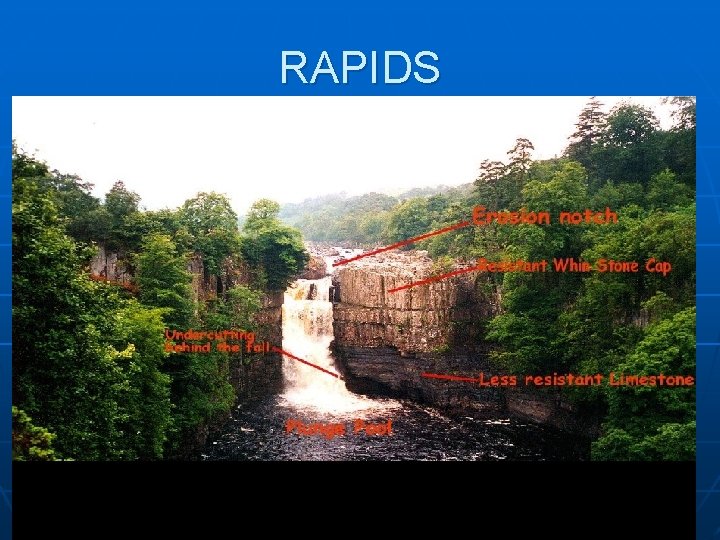 RAPIDS 