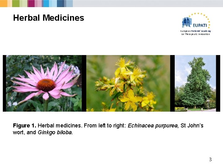 Herbal Medicines European Patients’ Academy on Therapeutic Innovation Figure 1. Herbal medicines. From left