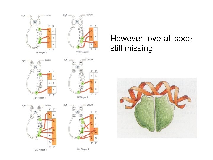 However, overall code still missing 