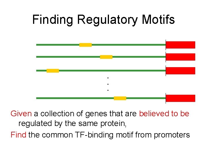Finding Regulatory Motifs . . . Given a collection of genes that are believed