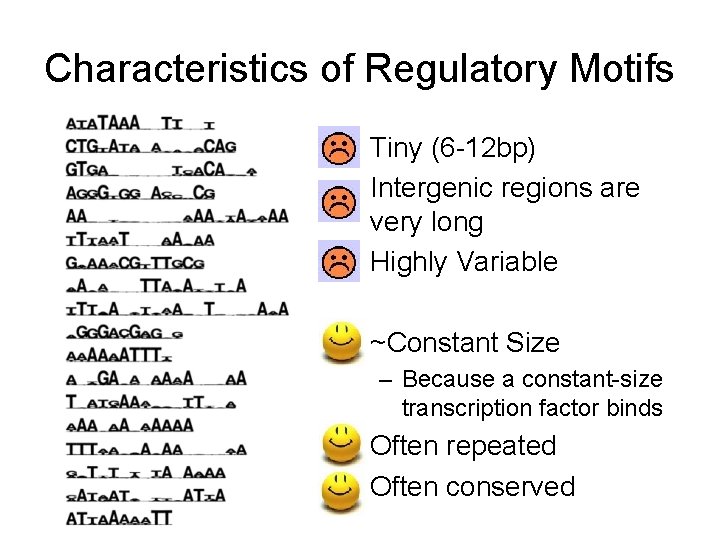 Characteristics of Regulatory Motifs • Tiny (6 -12 bp) • Intergenic regions are very