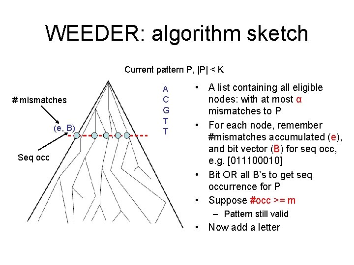 WEEDER: algorithm sketch Current pattern P, |P| < K # mismatches (e, B) Seq