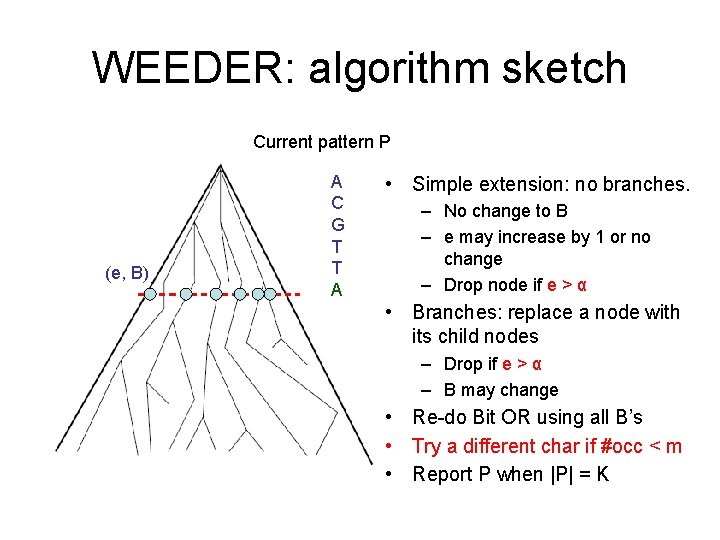 WEEDER: algorithm sketch Current pattern P (e, B) A C G T T A