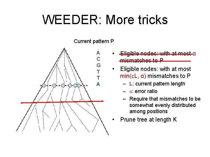 WEEDER: More tricks Current pattern P A C G T T A • Eligible