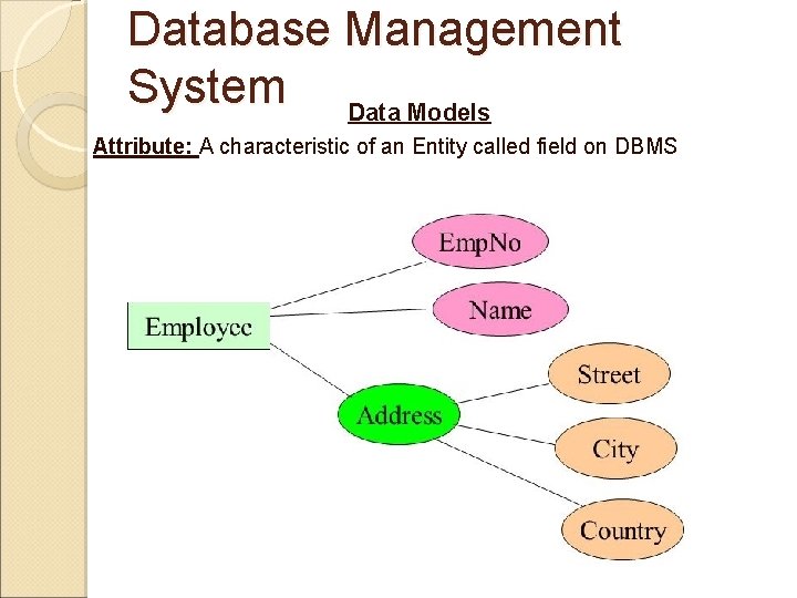 Database Management System Data Models Attribute: A characteristic of an Entity called field on