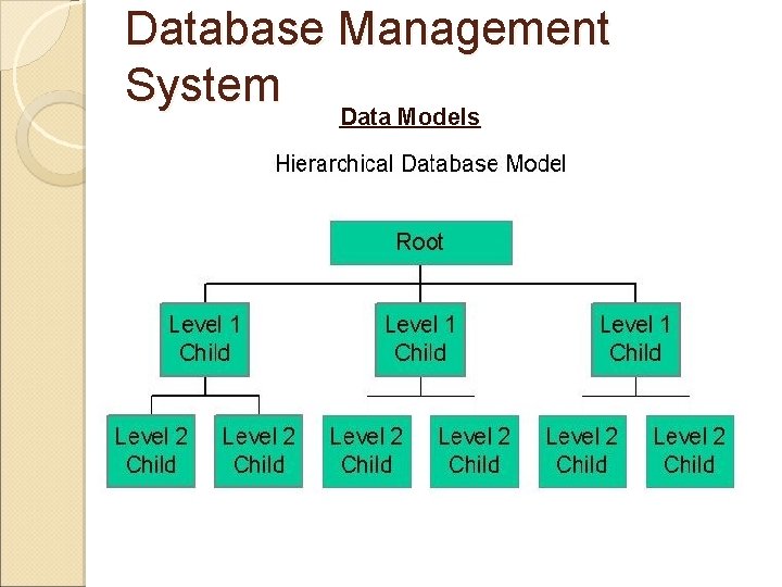 Database Management System Data Models 