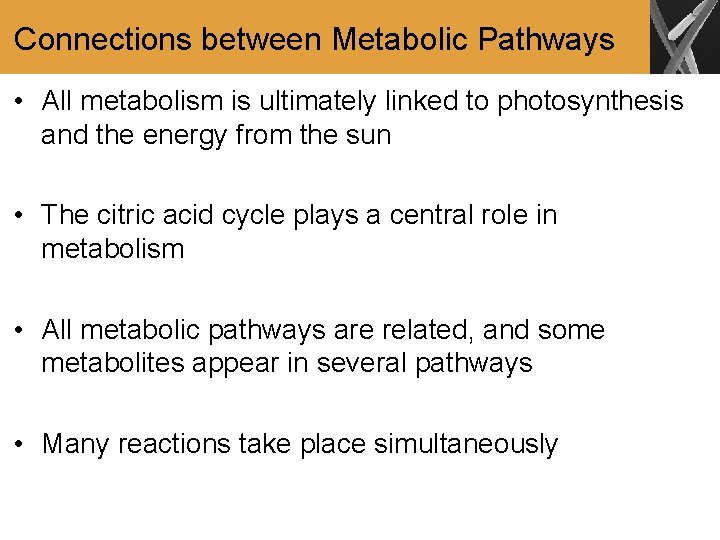 Connections between Metabolic Pathways • All metabolism is ultimately linked to photosynthesis and the