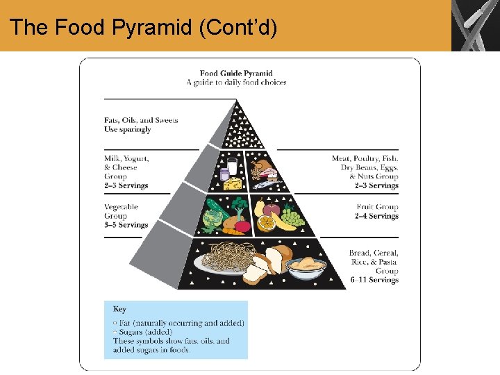 The Food Pyramid (Cont’d) 