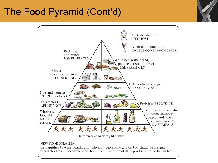 The Food Pyramid (Cont’d) 