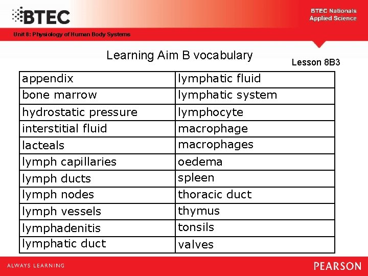 Unit 8: Physiology of Human Body Systems Learning Aim B vocabulary appendix bone marrow