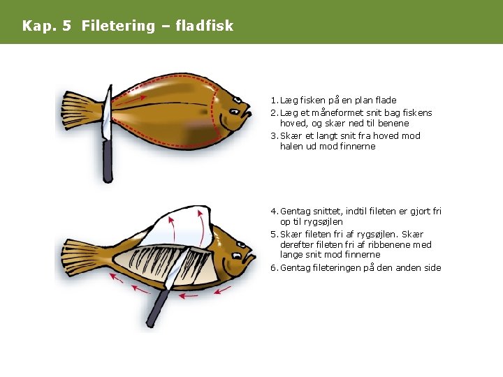 Kap. 5 Filetering – fladfisk 1. Læg fisken på en plan flade 2. Læg