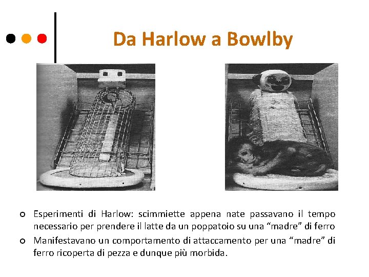 Da Harlow a Bowlby ¢ ¢ Esperimenti di Harlow: scimmiette appena nate passavano il