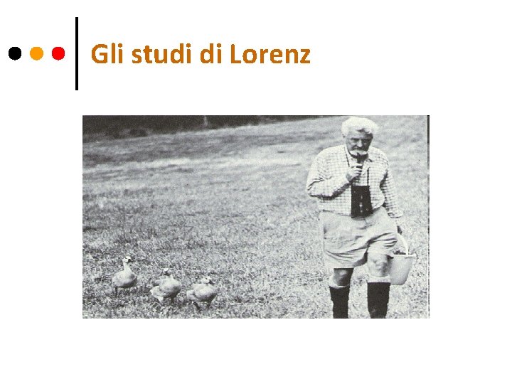 Gli studi di Lorenz 