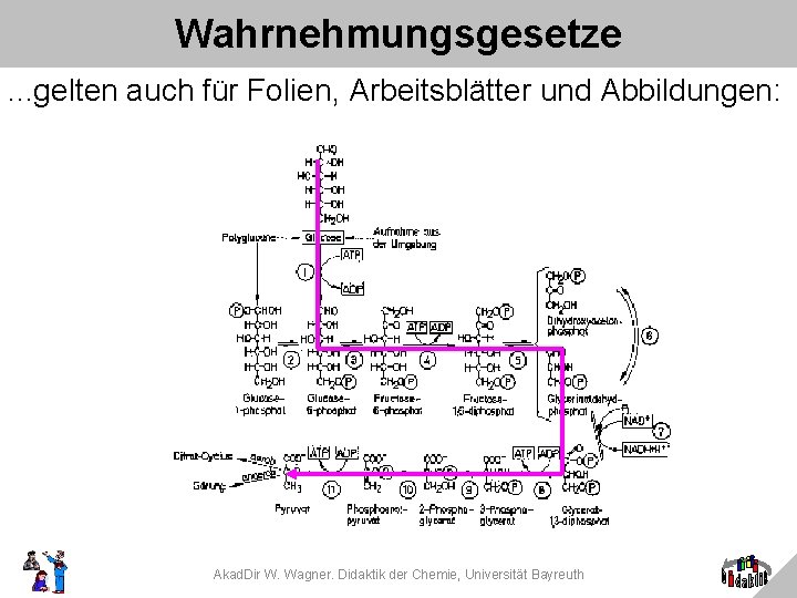 Wahrnehmungsgesetze. . . gelten auch für Folien, Arbeitsblätter und Abbildungen: Akad. Dir W. Wagner.