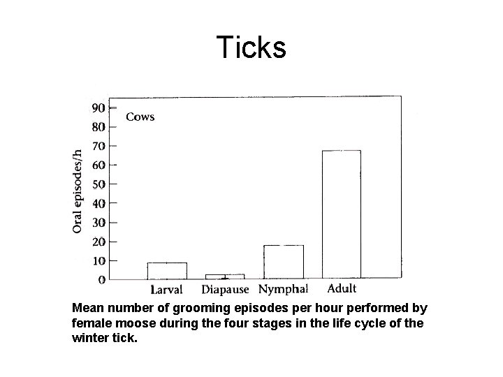 Ticks Mean number of grooming episodes per hour performed by female moose during the