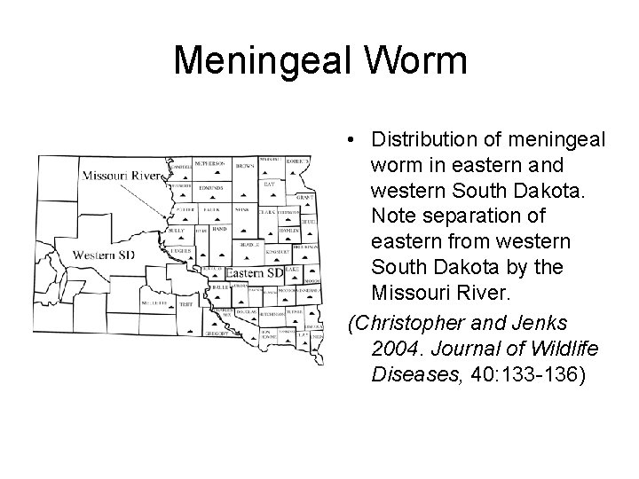 Meningeal Worm • Distribution of meningeal worm in eastern and western South Dakota. Note