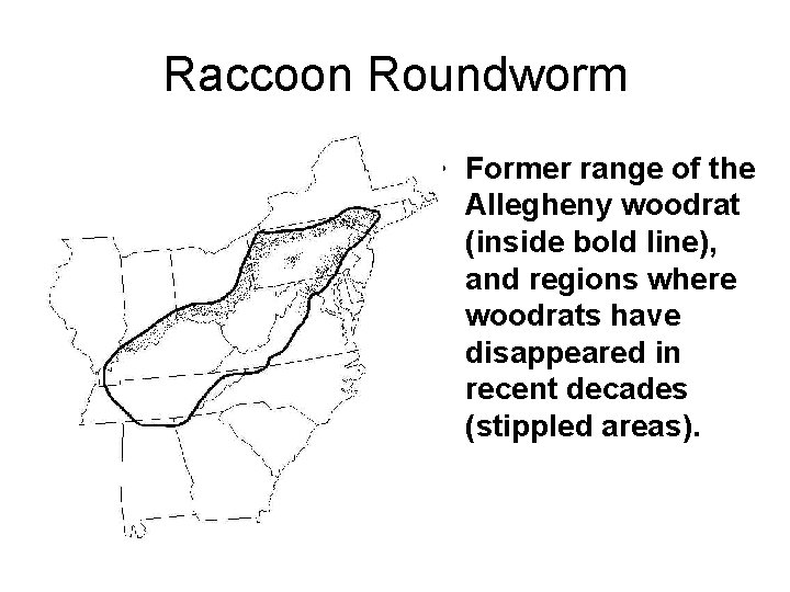 Raccoon Roundworm • Former range of the Allegheny woodrat (inside bold line), and regions