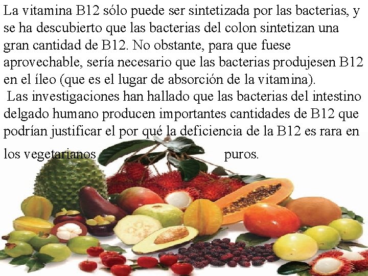 La vitamina B 12 sólo puede ser sintetizada por las bacterias, y se ha
