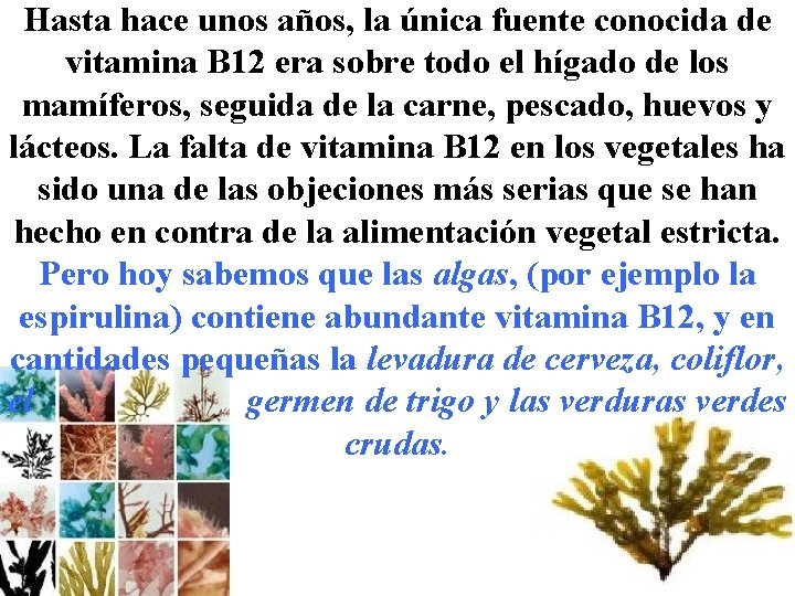 Hasta hace unos años, la única fuente conocida de vitamina B 12 era sobre