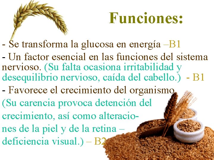 Funciones: - Se transforma la glucosa en energía –B 1 - Un factor esencial