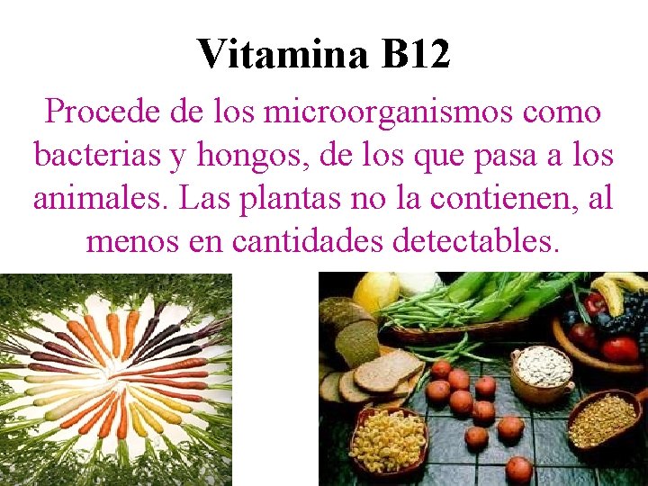 Vitamina B 12 Procede de los microorganismos como bacterias y hongos, de los que