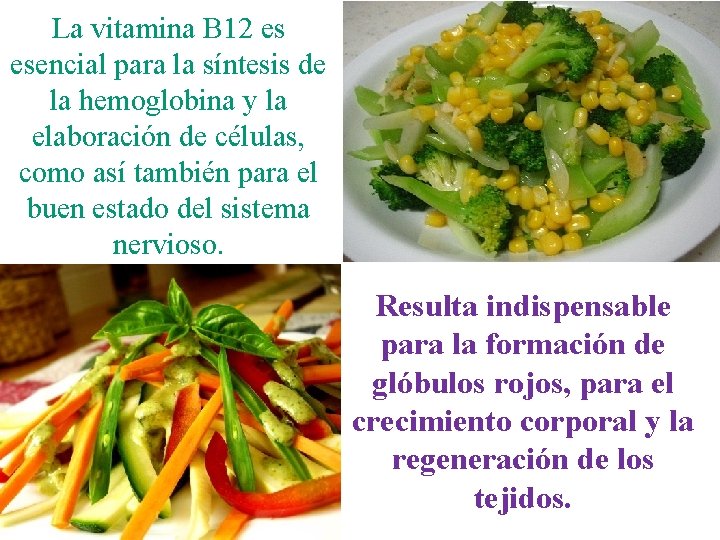 La vitamina B 12 es esencial para la síntesis de la hemoglobina y la