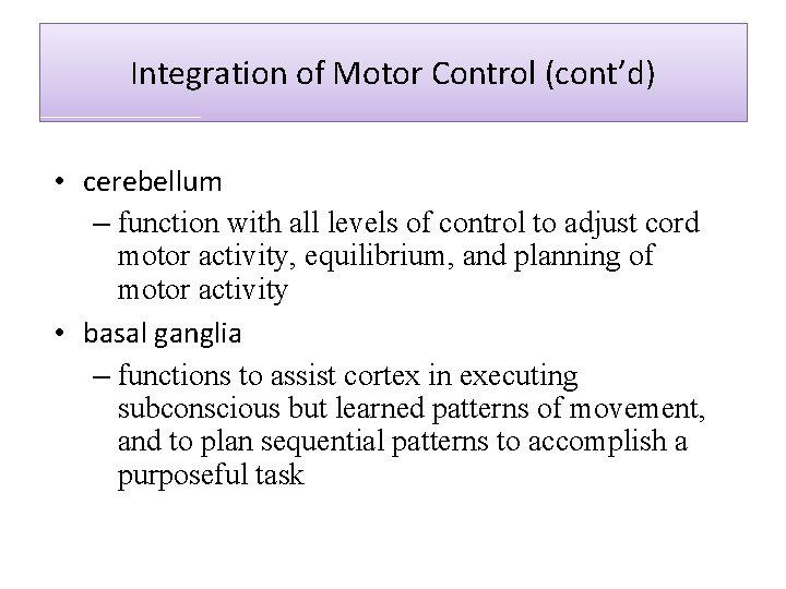 Integration of Motor Control (cont’d) • cerebellum – function with all levels of control