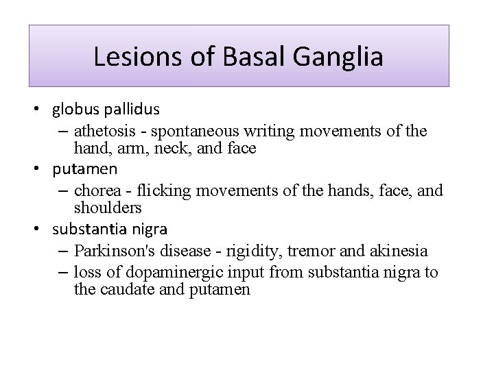 Lesions of Basal Ganglia • globus pallidus – athetosis - spontaneous writing movements of
