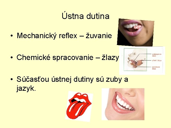 Ústna dutina • Mechanický reflex – žuvanie • Chemické spracovanie – žlazy • Súčasťou