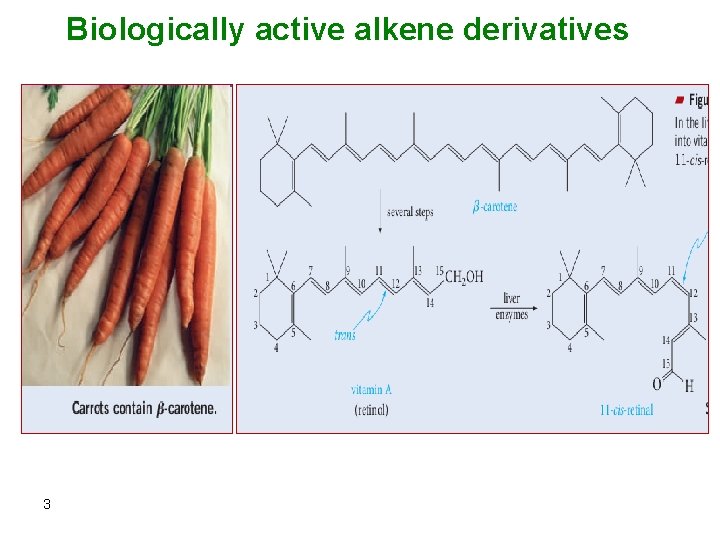 Biologically active alkene derivatives 3 
