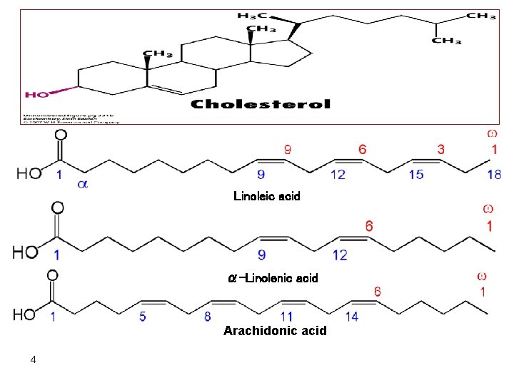 Linoleic acid α-Linolenic acid Arachidonic acid 4 