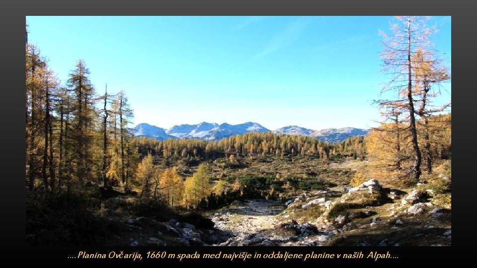 …. Planina Ovčarija, 1660 m spada med najvišje in oddaljene planine v naših Alpah….