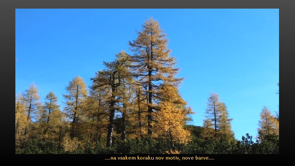 …. na vsakem koraku nov motiv, nove barve…. 